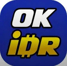IDROK - Game TPS Seru untuk Semua Pengguna